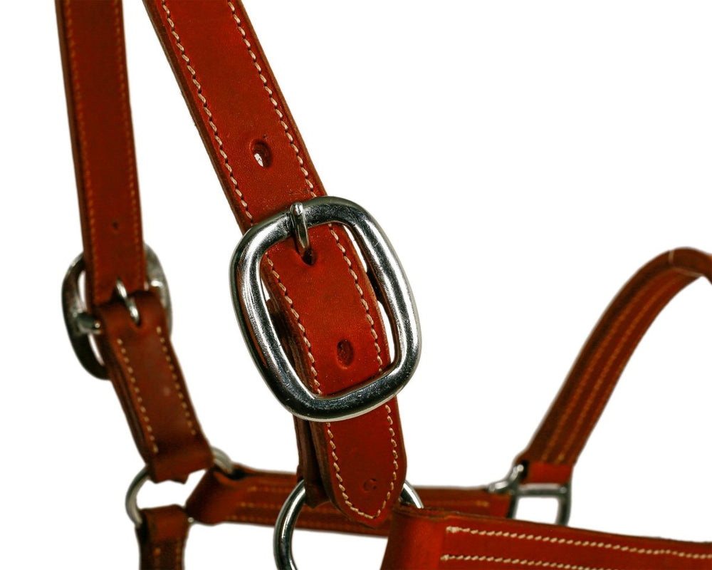 Syd Hill Cooroy Track Halter - Active Equine