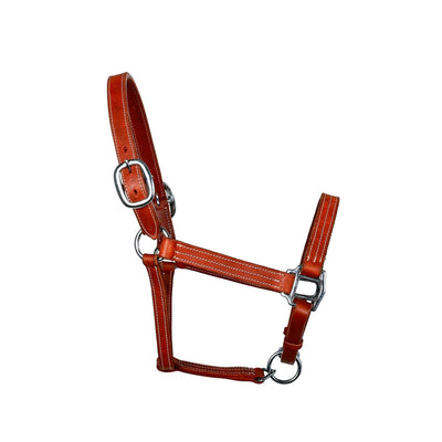 Syd Hill Cooroy Track Halter - Active Equine