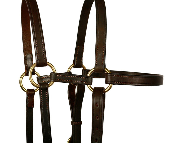 Syd Hill Extended Head Barcoo Bridle - Active Equine