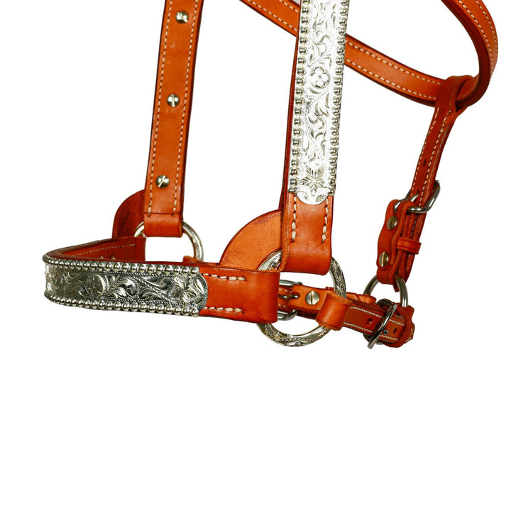 Syd Hill Lyell Show Halter - Active Equine