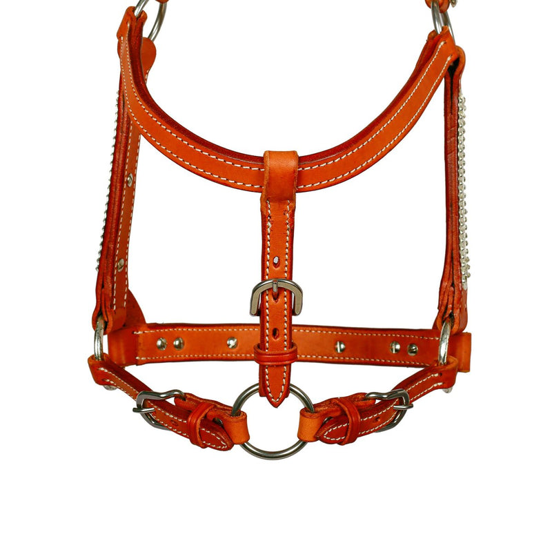 Syd Hill Lyell Show Halter - Active Equine