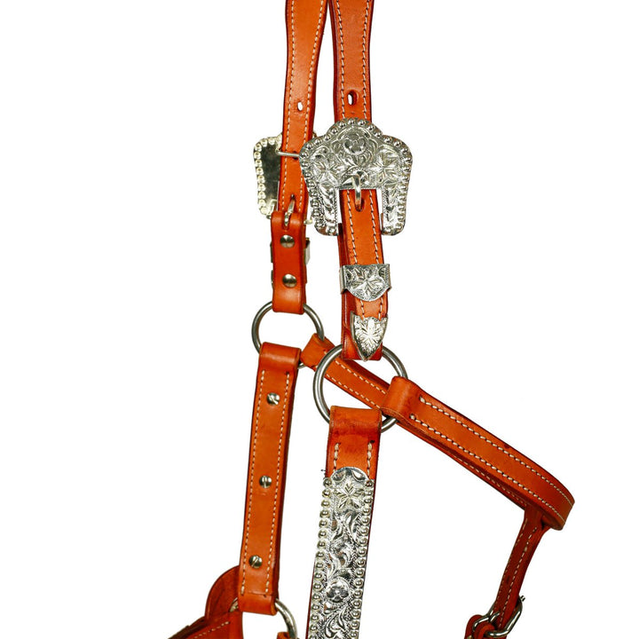 Syd Hill Lyell Show Halter - Active Equine