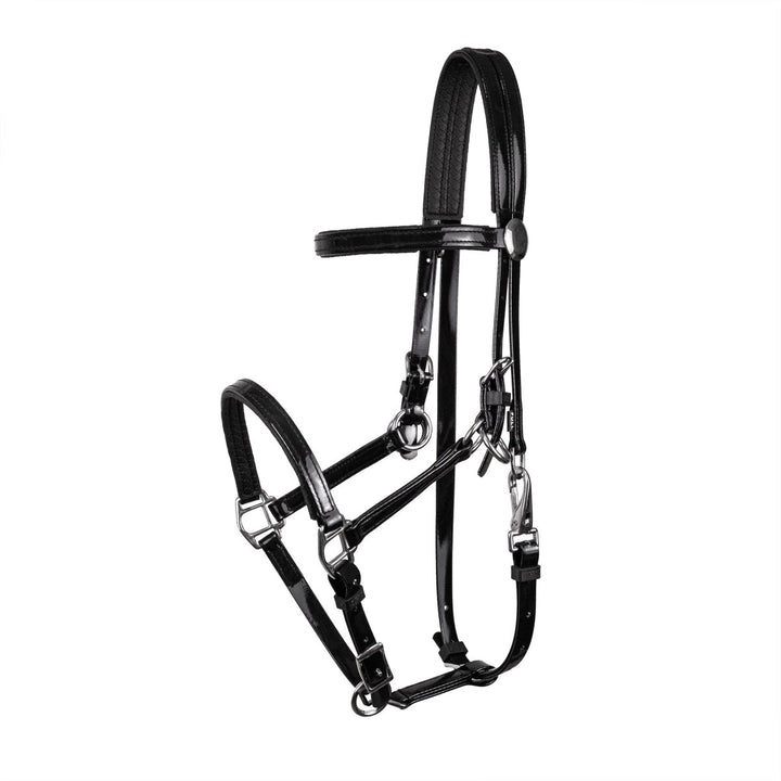 Syd Hill PVC Endurance Bridle with Reins - Active Equine