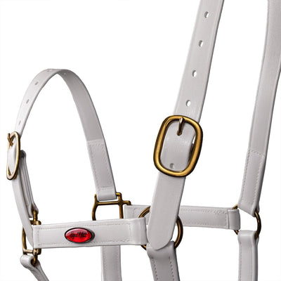 Syd Hill PVC Halter - Active Equine