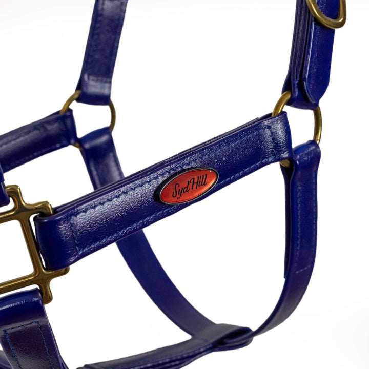 Syd Hill PVC Halter - Active Equine