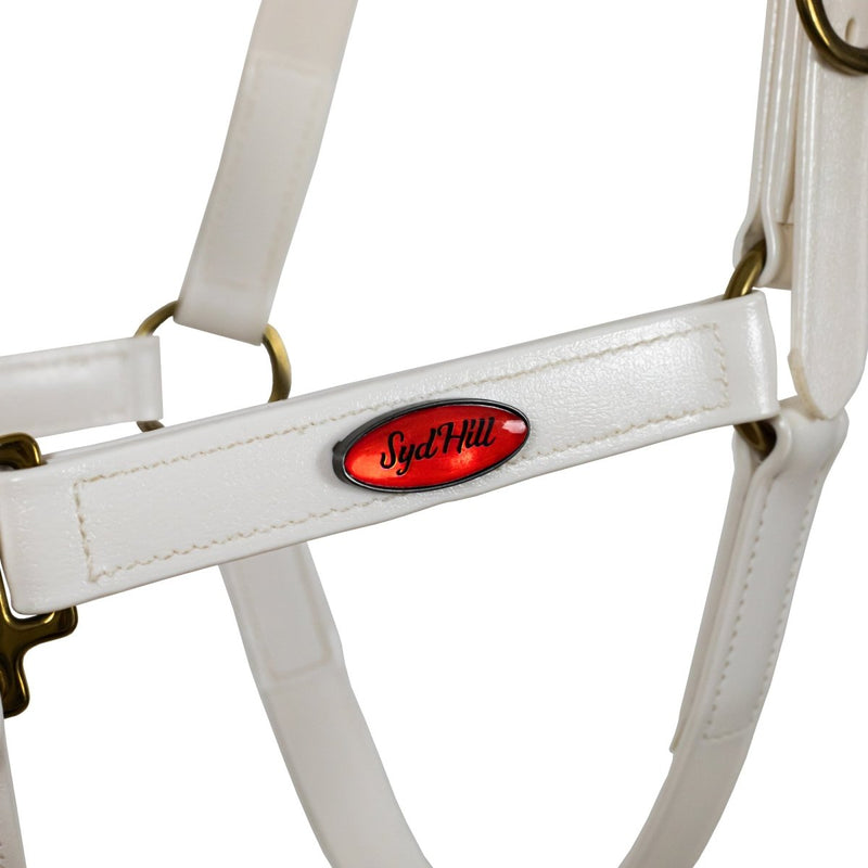 Syd Hill PVC Halter - Active Equine