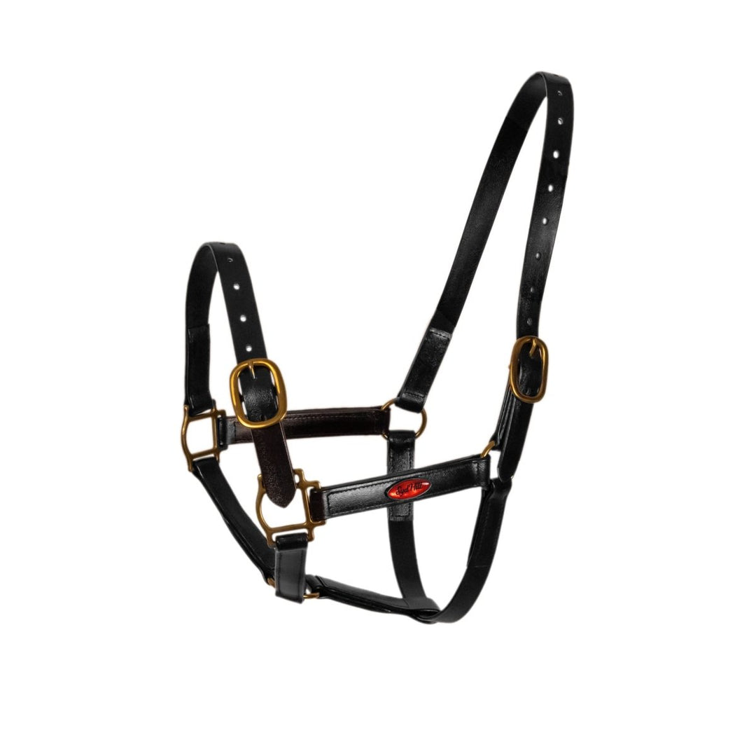 Syd Hill PVC Halter - Active Equine