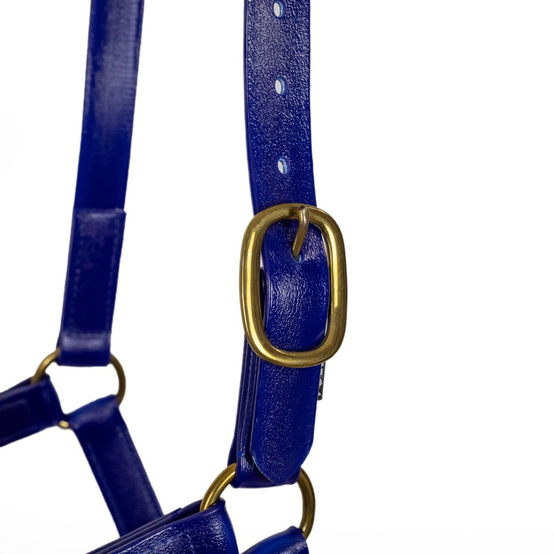 Syd Hill PVC Halter - Active Equine