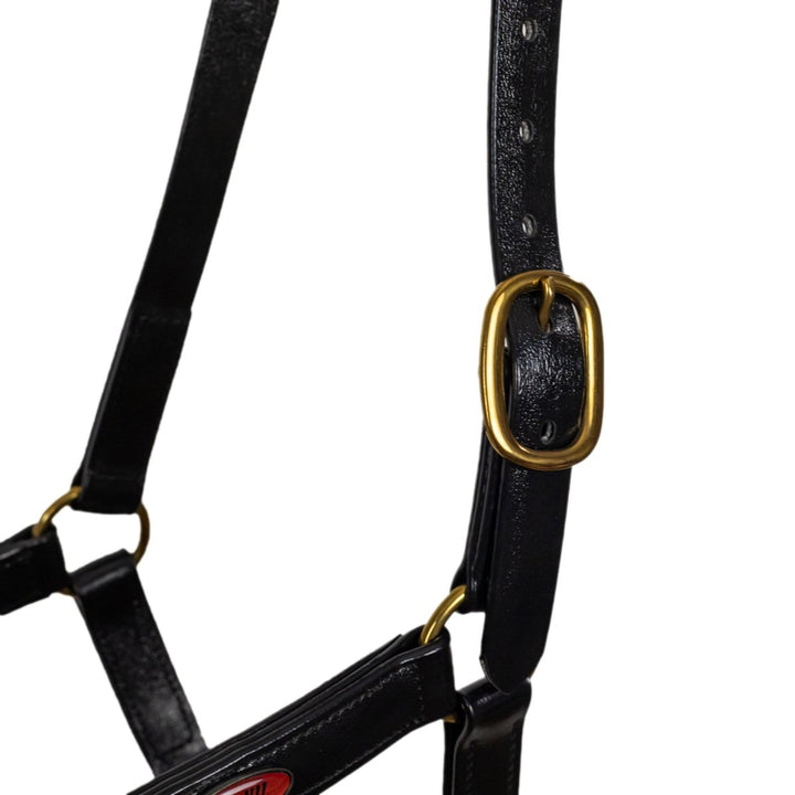 Syd Hill PVC Halter - Active Equine