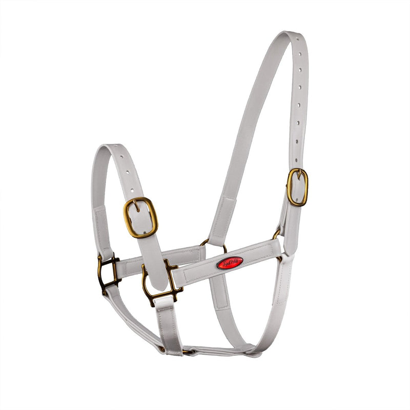 Syd Hill PVC Halter - Active Equine