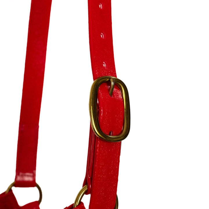 Syd Hill PVC Halter - Active Equine