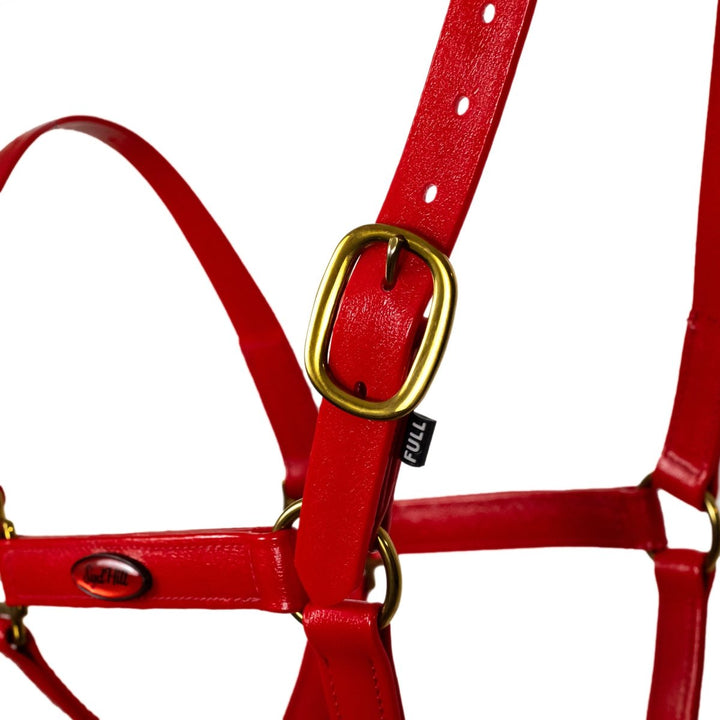 Syd Hill PVC Halter - Active Equine