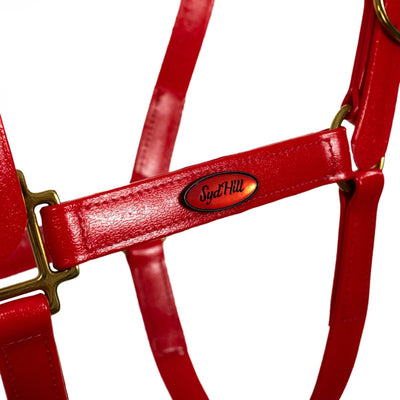 Syd Hill PVC Halter - Active Equine