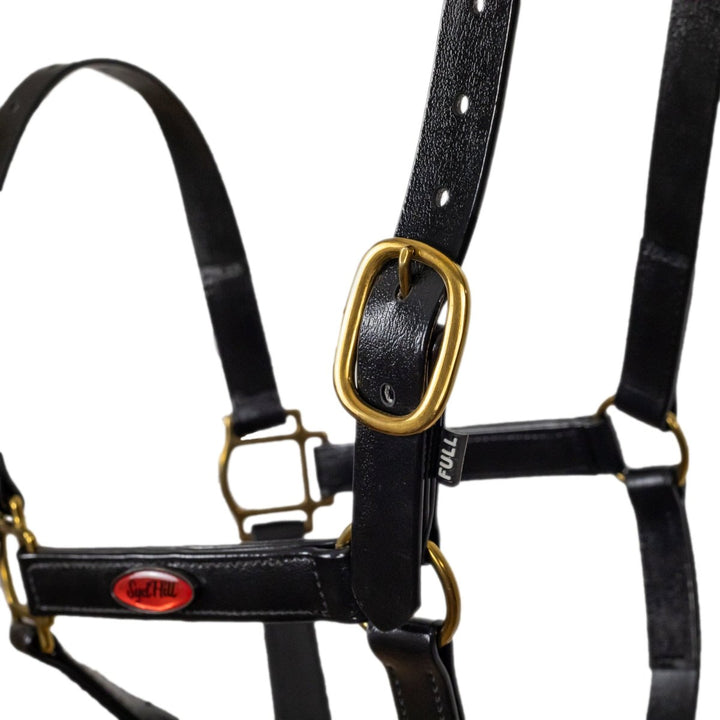 Syd Hill PVC Halter - Active Equine