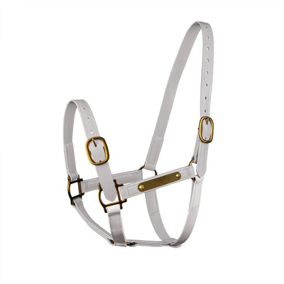 Syd Hill PVC Halter with Nameplate - Active Equine