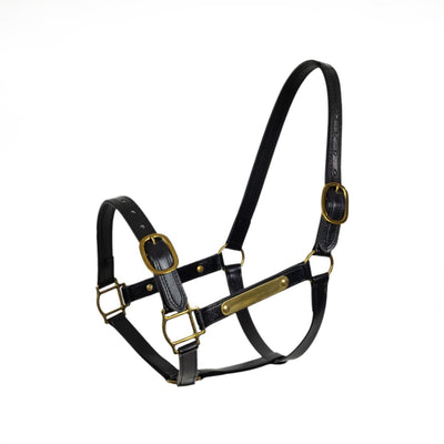 Syd Hill PVC Halter with Nameplate - Active Equine