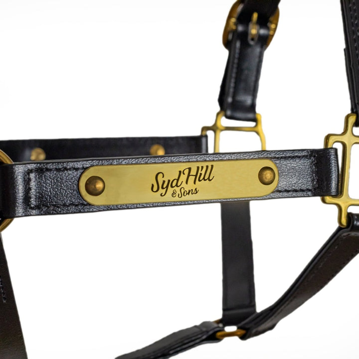 Syd Hill PVC Halter with Nameplate - Active Equine