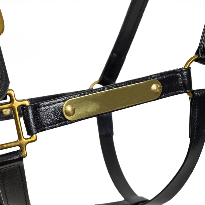 Syd Hill PVC Halter with Nameplate - Active Equine