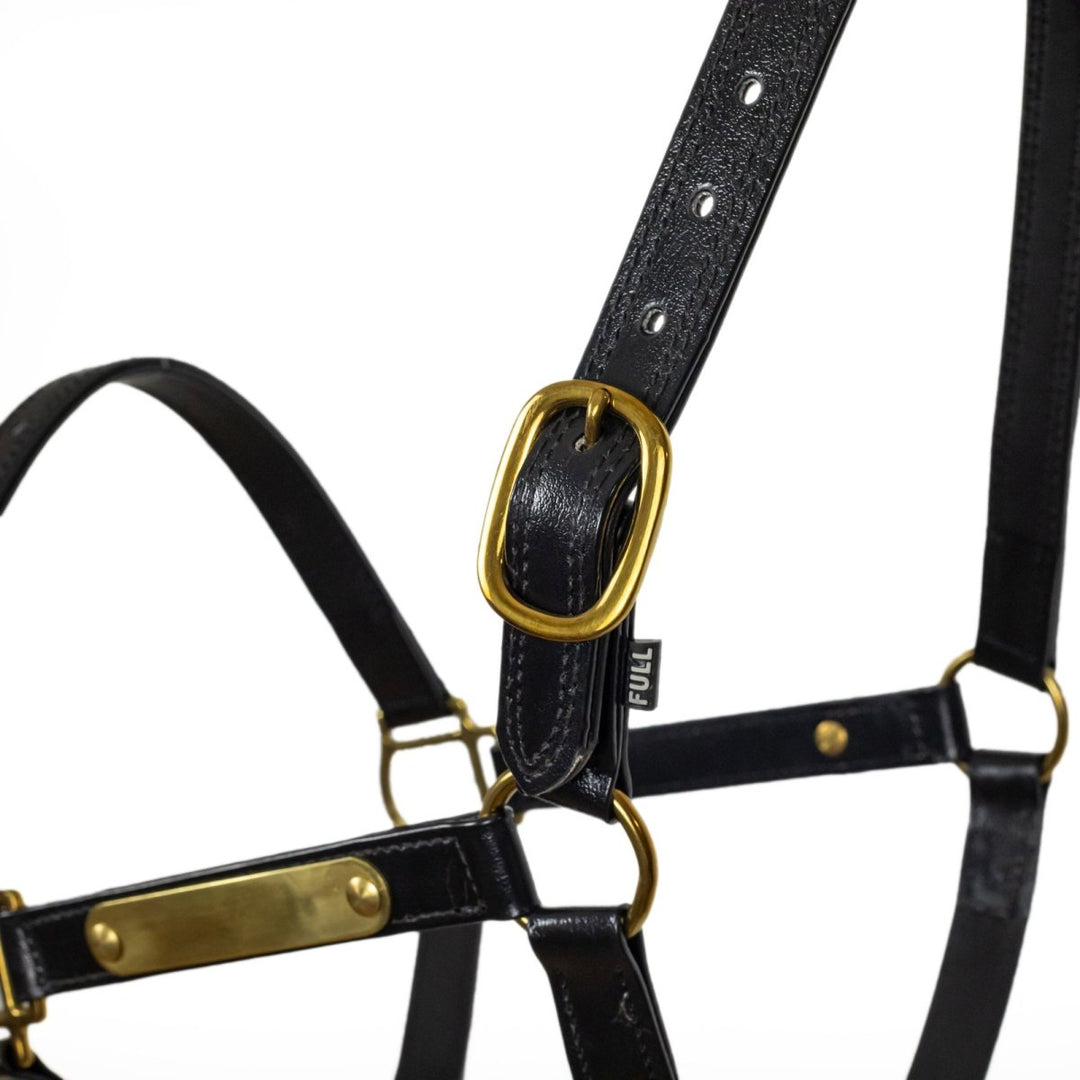 Syd Hill PVC Halter with Nameplate - Active Equine