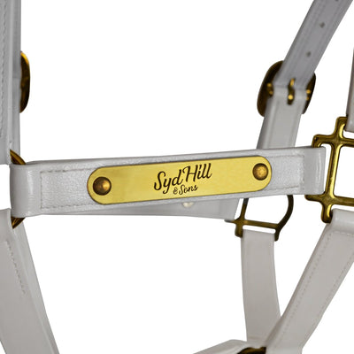 Syd Hill PVC Halter with Nameplate - Active Equine