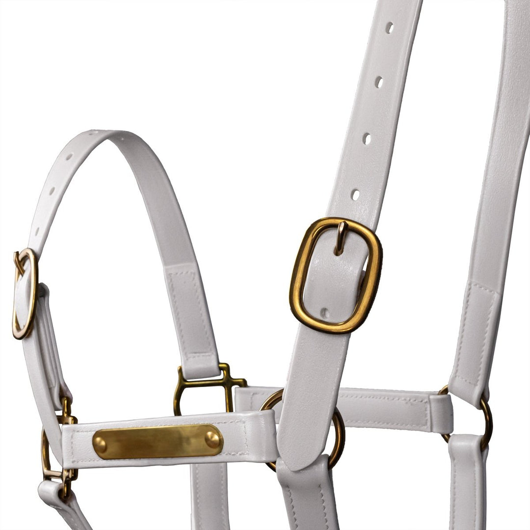 Syd Hill PVC Halter with Nameplate - Active Equine