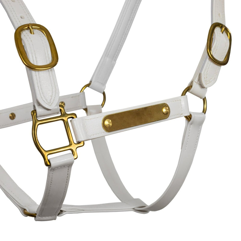 Syd Hill PVC Halter with Nameplate - Active Equine