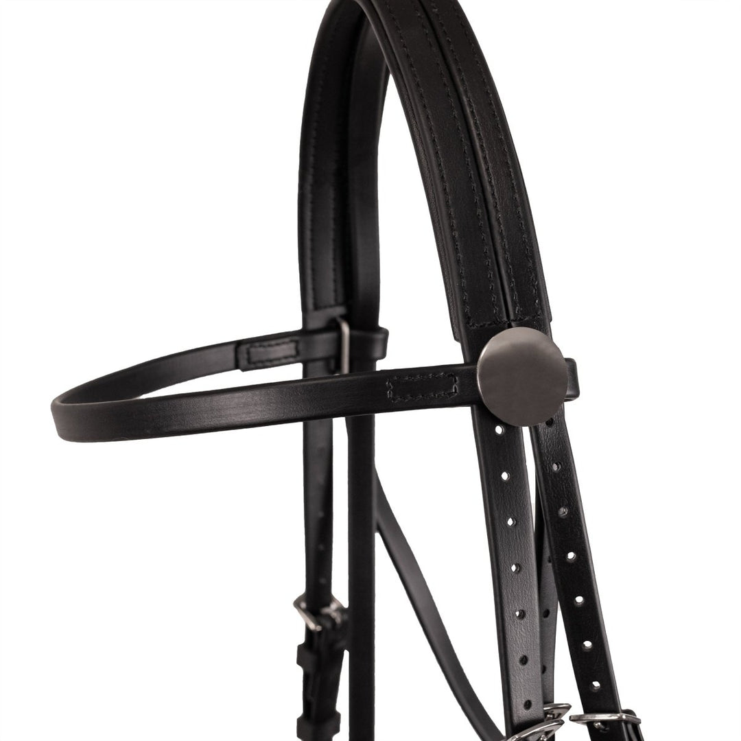 Syd Hill PVC Matte Race Bridle with Cavesson Noseband & Loop Reins - Active Equine