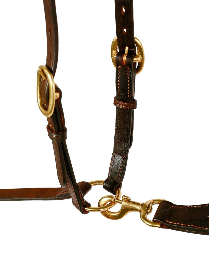 Syd Hill Stockman Breastplate with Rings & Headcheck - Active Equine