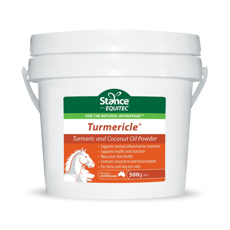 Tumericle Powder 500gm | Stance Equitec - Active Equine