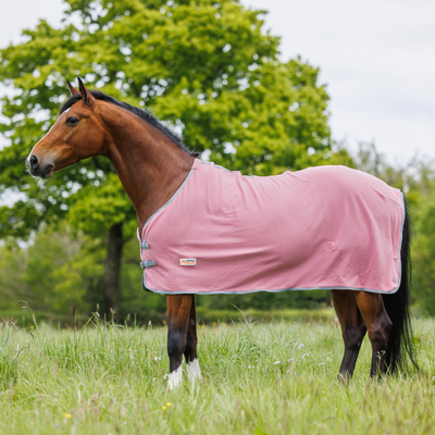 Fleece Horse Rug and Combo Rug | Active Equine