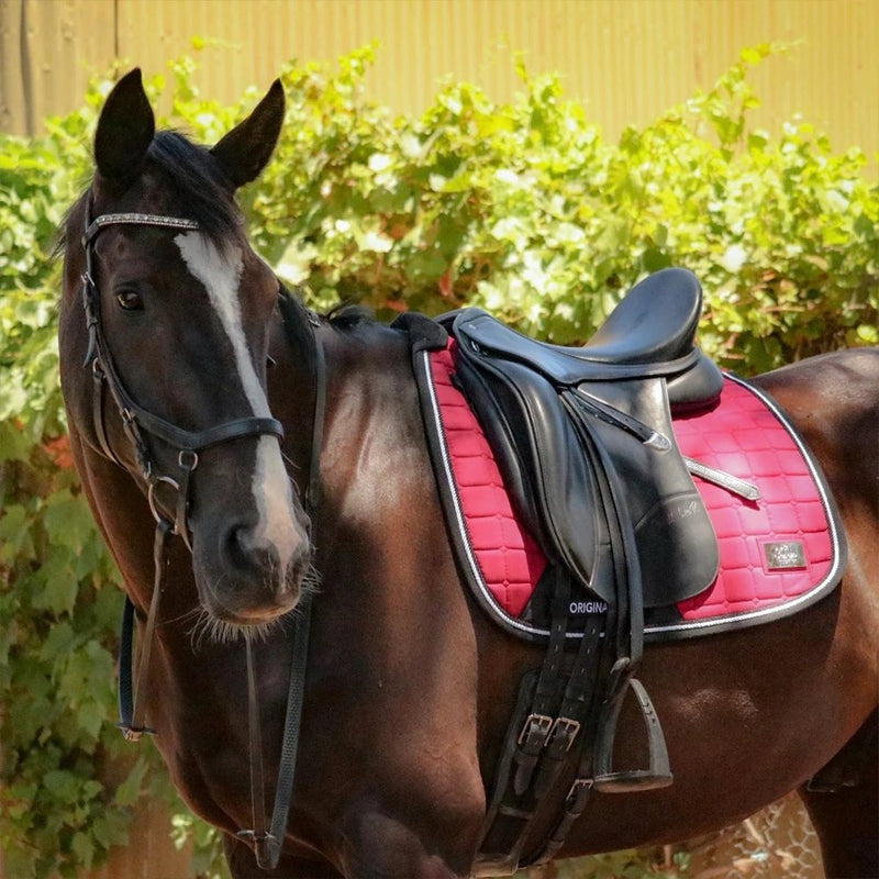 2-in-1 Dressage Saddle Pad (cotton, various colours) | Iconic Equestrian - Active Equine