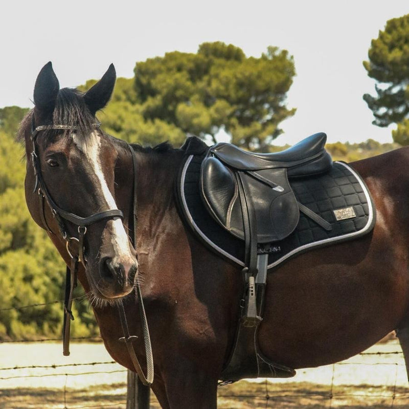 2-in-1 Jumping Saddle Pad (cotton, various colours) | Iconic Equestrian - Active Equine