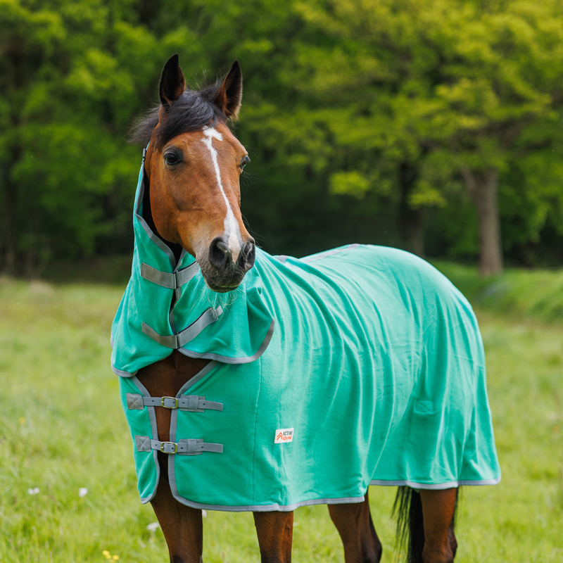 Fleece Horse Rug and Combo Rug | Active Equine