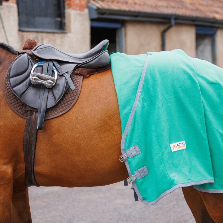 Fleece Horse Rug and Combo Rug | Active Equine