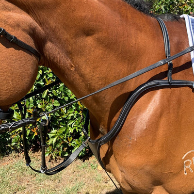 Breastplate Horse - Active Equine