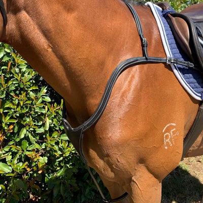 Anatomic Breastplate (with rings) | Active Equine - Active Equine