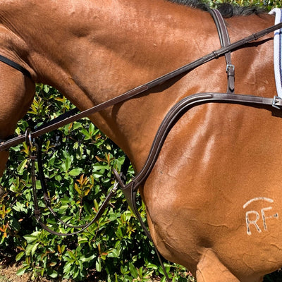 three point breastplate | Active Equine - Active Equine