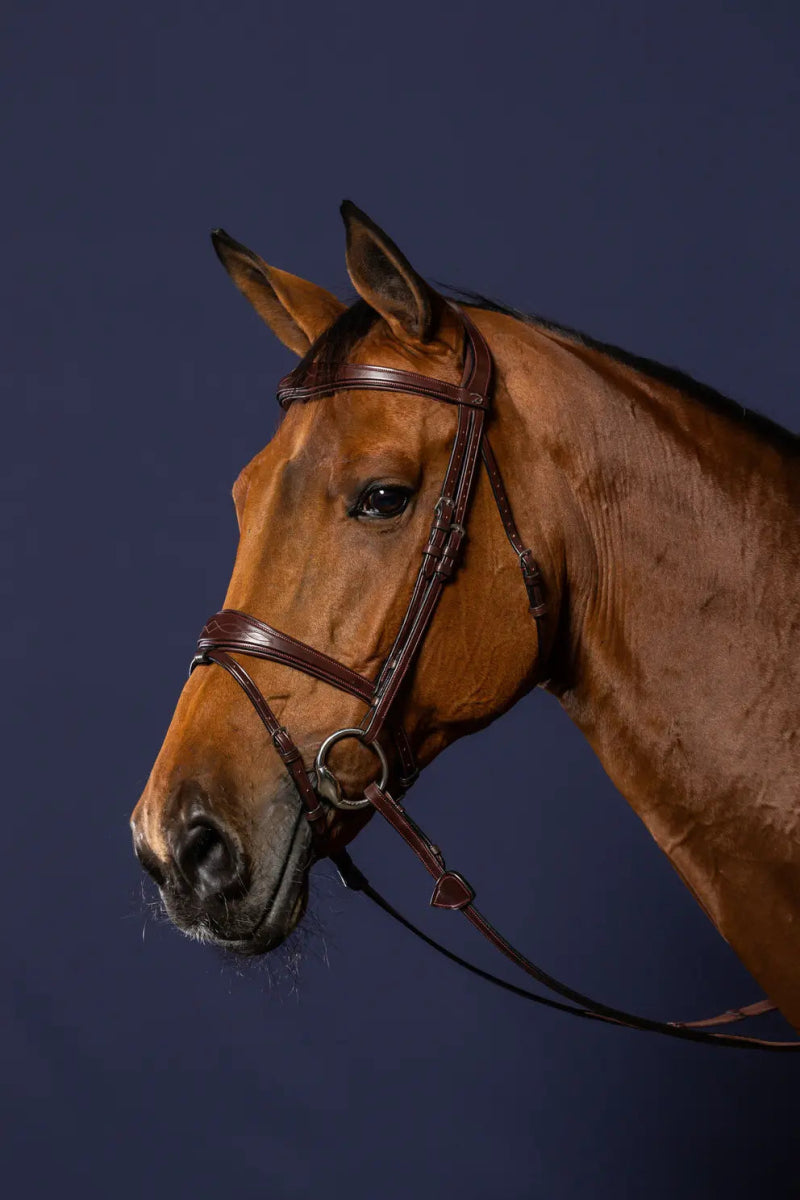 Anatomic Flash Noseband Bridle | Dyon | New English - Active Equine