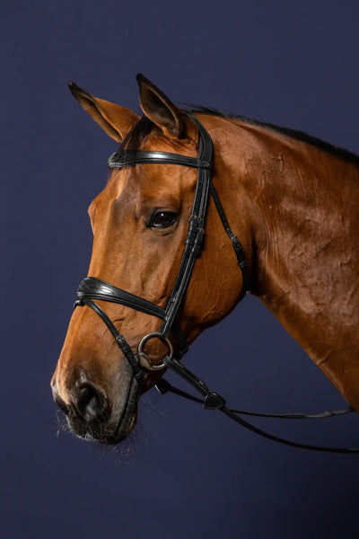 Anatomic Flash Noseband Bridle | Dyon | New English - Active Equine