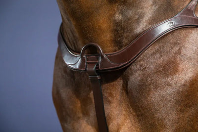 Anatomical Breastplate | Dyon | New English - Active Equine