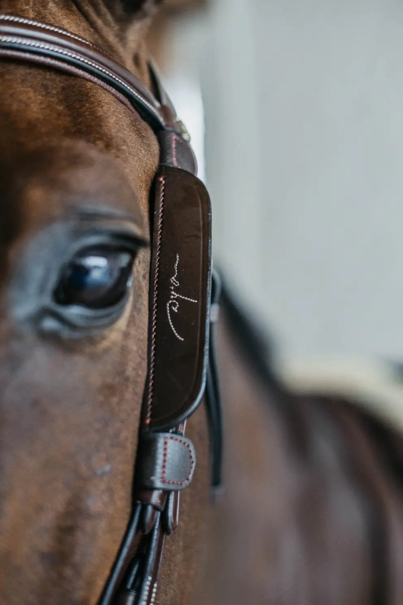 Blinkers with Fancy Stitching | Dyon - Active Equine