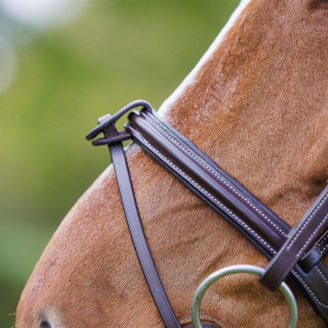 Brass Jumping Bridle (cinch browband) | Active Equine - Active Equine