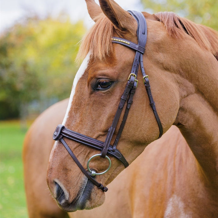 Brass Jumping Bridle (cinch browband) | Active Equine - Active Equine