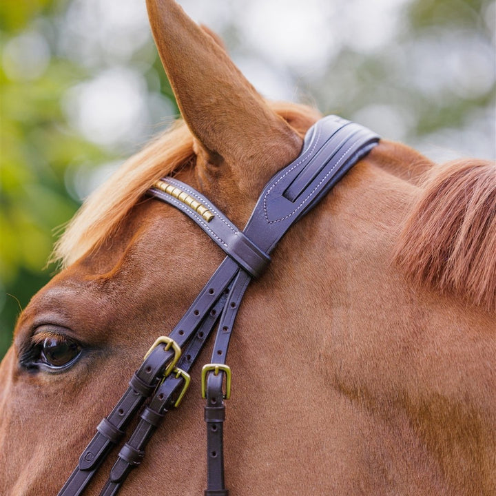 Brass Jumping Bridle (cinch browband) | Active Equine - Active Equine