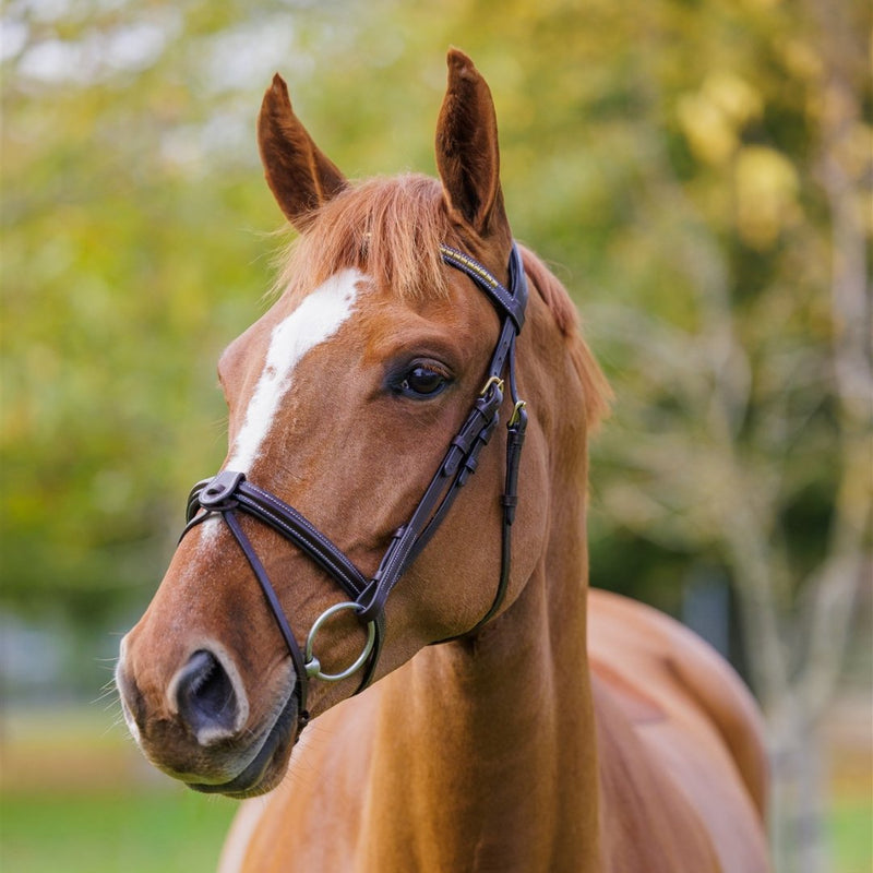 Brass Jumping Bridle (cinch browband) | Active Equine - Active Equine