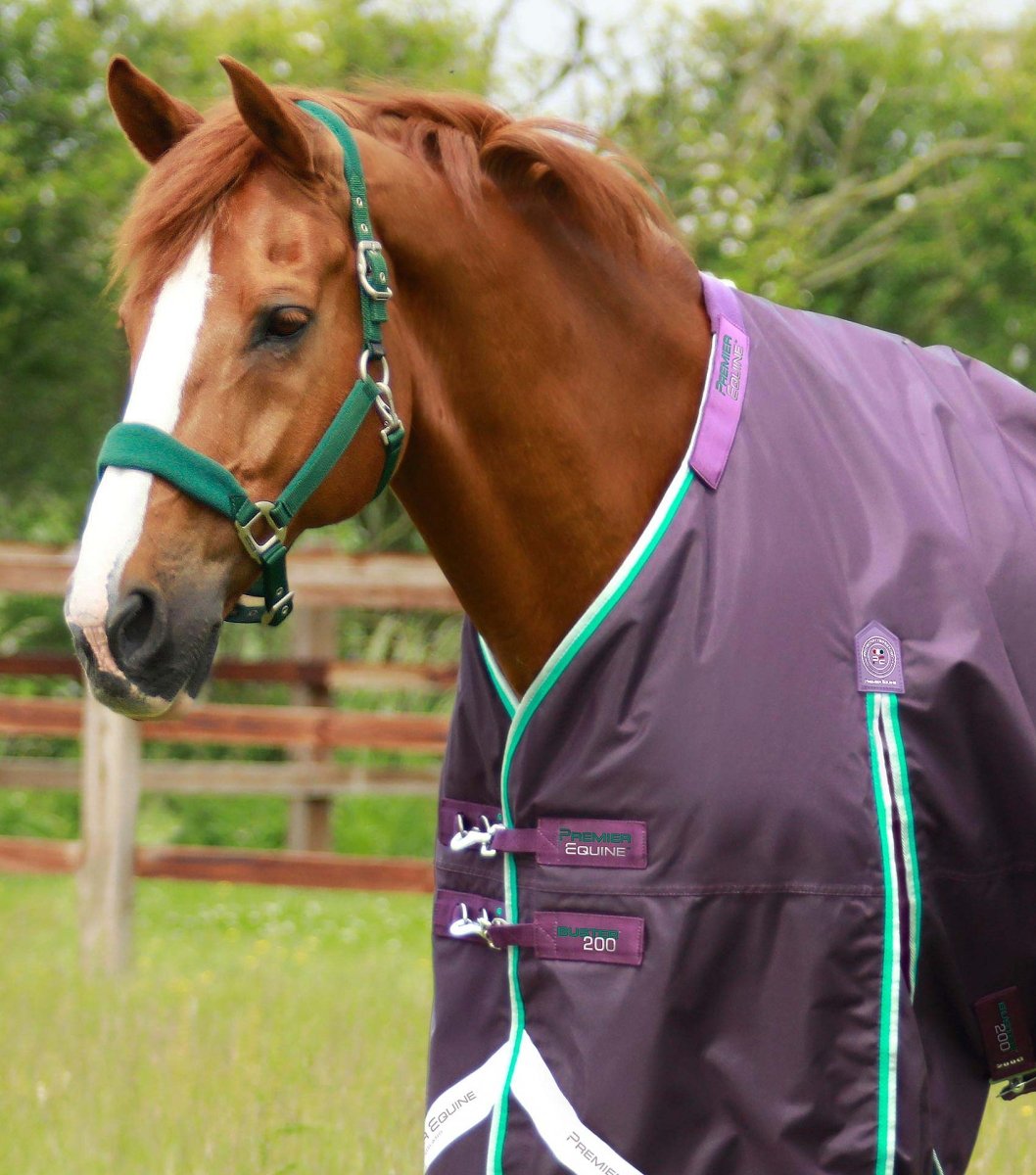 Buster 200g Turnout Rug with Snug-Fit Neck Cover | PEI - Active Equine