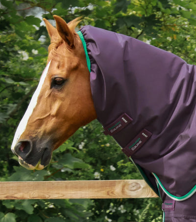 Buster 200g Turnout Rug with Snug-Fit Neck Cover | PEI - Active Equine