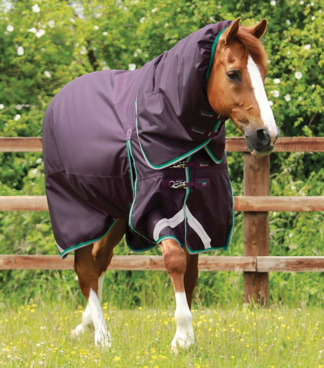 Buster 200g Turnout Rug with Snug-Fit Neck Cover | PEI - Active Equine