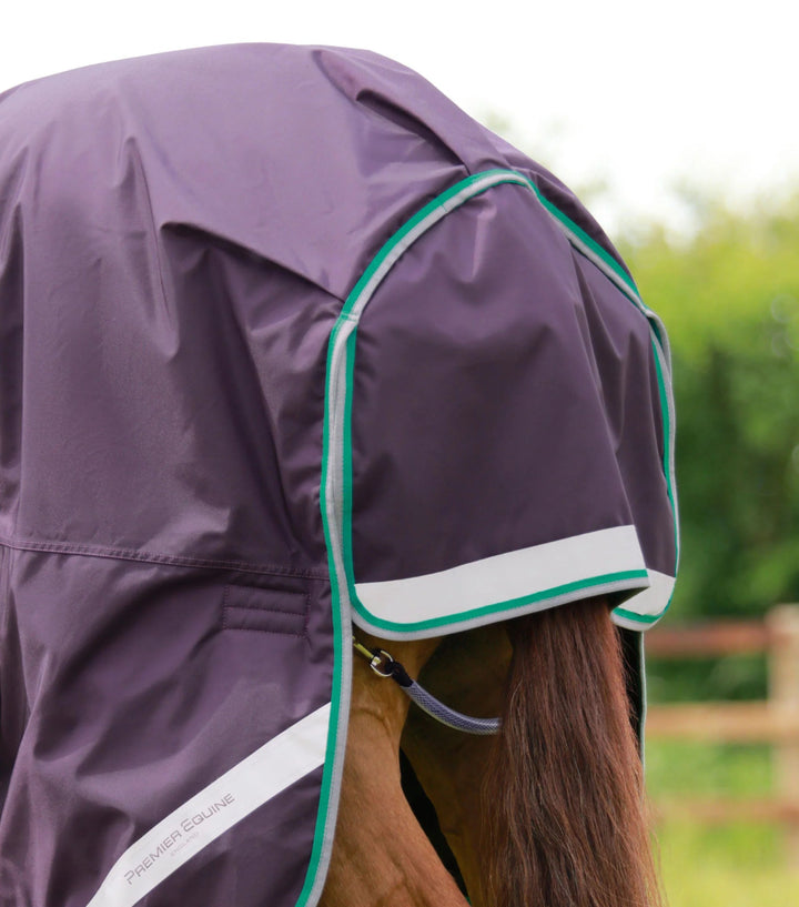 Buster 200g Turnout Rug with Snug-Fit Neck Cover | PEI - Active Equine