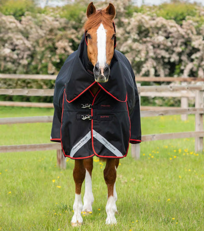 Buster 250g Turnout Rug with Classic Neck Cover | PEI - Active Equine